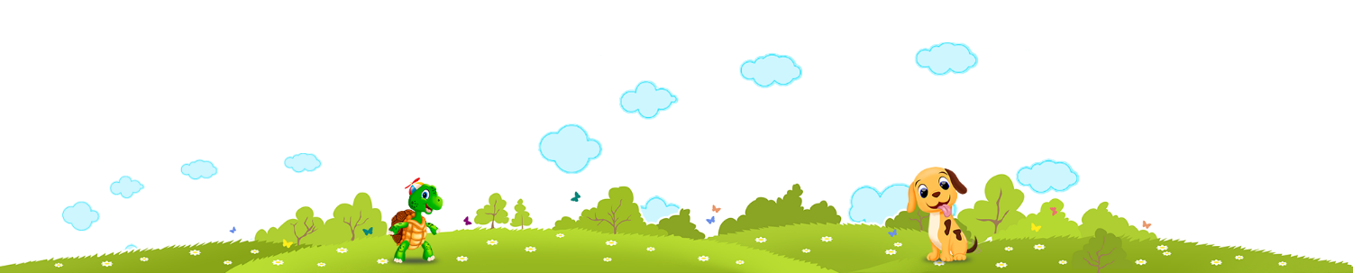 banner image