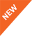 offshore web development india